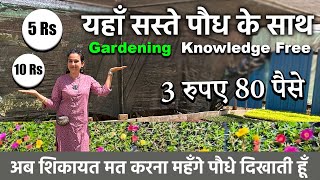 पौधे 5 और 10 रुपए में  Cheapest Plant Nursery  Gurugram ki is nursery mein milenge saste podhe [upl. by Patrizius]