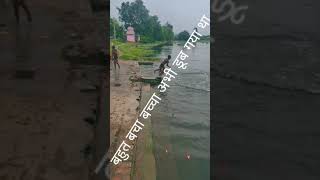 Pound talabviralvideo love virat cuteanimal yputubeshorts funny youtubrfunny cutepet [upl. by Sucerdor]