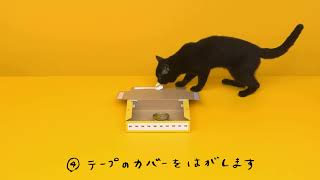 黒猫ヤマトのCM クロネコが箱を組み立てる [upl. by Devaj]