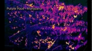 Binaural Beats  Marijuana High THC Beat Purple Haze Digital Drug [upl. by Sherourd586]