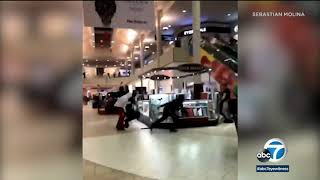 Mall panic Smashandgrab at Montebello mall sends shoppers fleeing  ABC7 [upl. by Stiruc]