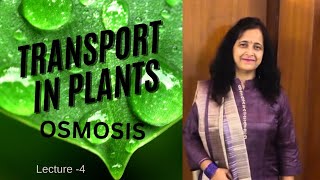 Osmosis  A Universal Process Occuring in plants  Easy Explanation  Biology Ocean [upl. by Nagiam]