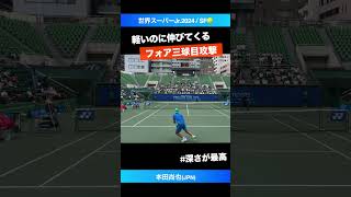 軽いのに伸びる 深く刺さる逆クロス【世界スーパージュニア2024SF】本田尚也JPN shorts テニス tennis [upl. by Carol102]