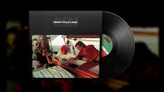 Crosby Stills amp Nash – Dark Star Vinyl Visualizer [upl. by Eveneg]