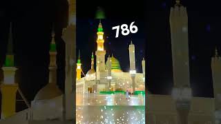 Mustafa jane rahmat pe lakho salamshortvideo shortfeed miladunnabi viralvideo madina sarif [upl. by Ayela]