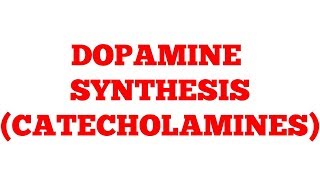 Catecholamines  Dopamine  Biochemistry [upl. by Esdnil]