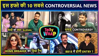 Payal Malik Is Pregnant Vishals Eviction News Adnaan Angry On Elvish  Top10  Tellywrap [upl. by Bijan]