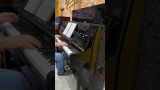 Piano Fritz Dobbert  FD110 110 de altura Vem realizar seu sonho na Pianissimo Pianos 🎹 [upl. by Yancey144]