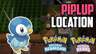 How to Catch Piplup  Pokémon Brilliant Diamond amp Shining Pearl [upl. by Yesnyl558]