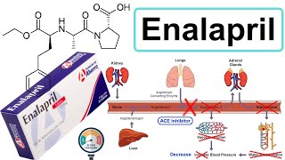 enalapril [upl. by Koo609]