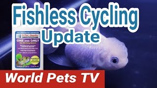 How to Fishless Water Cycle Switching over to DR Tim’s Nitrifying Bacteria [upl. by Yeldar]