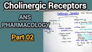 Cholinergic Receptors Nicotine And Muscarinic Receptors ANS Pharmacology Part 02 [upl. by Nolie121]