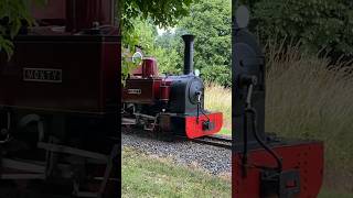 Narrow Gauge steam train [upl. by Merwin]