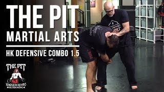 The Pit Martial Arts Hawaiian Kempo Defensive Combo 15 [upl. by Julianne766]