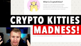 CRYPTO KITTIES 100K VALUE [upl. by Fae236]