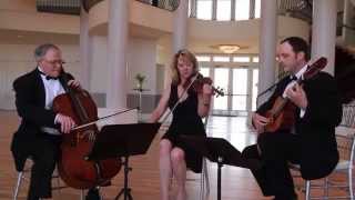 Guitar Trio with Violin and Cello  Wedding Music  Colorado Musicians  A Music Plus Entertainment [upl. by Landel552]