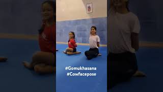 How to do gomukh advanceyoga gomukhasana cowpose jkgyoga yogaforwellnessbyap youtubeshorts [upl. by Banerjee]