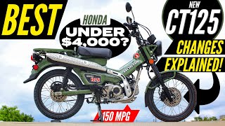 NEW Honda Trail 125 Review  CT125  Better than Grom Monkey amp Super Cub Motorcycles [upl. by Rizzi806]