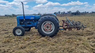 using a drag harrow on our pasture [upl. by Gerek616]