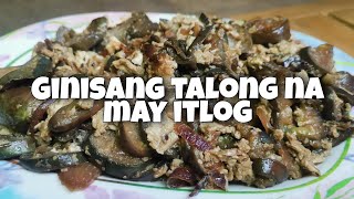 Ginisang Talong na may itlog [upl. by Ebenezer]