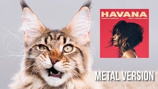 Funny Cat Singing  Havana Camila Cabelo Metal Version [upl. by Eanil]