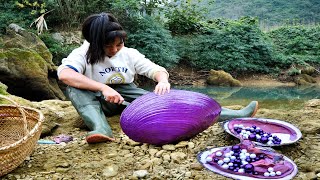 The water emitted a strange light and the girl discovered a huge purple clam filled with wealth [upl. by Lidstone999]