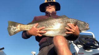 Catching Jewfish Lake Macquarie New PB 105cm [upl. by Itsud875]