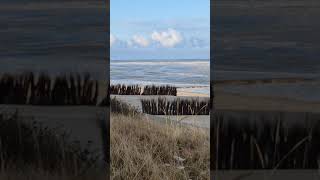 Cuxhaven live  Webcam Strand vereiste Nordsee herrlicher Sonnenschein [upl. by Kcirddehs]