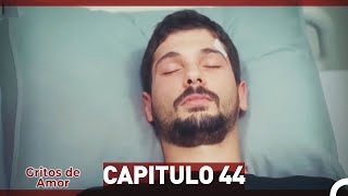 Gritos de Amor Capitulo 44 Doblaje En Español [upl. by Yrrak300]