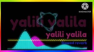 yalili yalila full song slowed reverb best song yalili yalila [upl. by Novahc504]