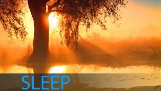 8 Hour Deep Sleep Music Sleeping Music Relaxing Music Sleep Delta Waves Sleep Meditation ☯228 [upl. by Aieka]