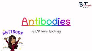 Antibodies Structure and function ASA level Biology  BioTeach [upl. by Ademla]