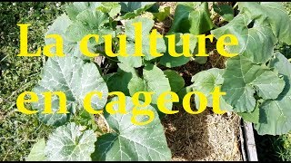 La culture en cageot permaculture [upl. by Hebrew795]