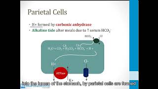 GI 23 Gastrointestinal Secretions [upl. by Ivory]