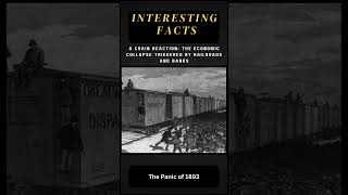 The Panic of 1893 Railroads Recessions and Ruin [upl. by Yeclehc]