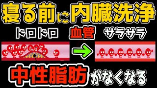 痩せる鍵は『中性脂肪を減らし自律神経も整える』絶対にやってほしい寝る前の内臓洗浄セルフケア！首・肩こり 腰痛まで解消 [upl. by Lynna]