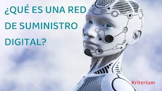 ¿Qué es una Red de Suministro Digital [upl. by Iatnwahs]