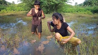 Survival in forest Catch and cook frog for survival food Frog cooking with Chili sauce for dinner [upl. by Lenette]