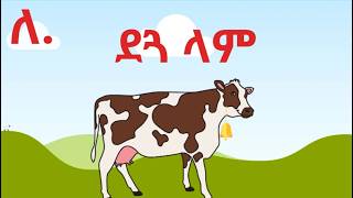 ደጓ ላም ተረት ተረት  in Amharic  Amharic Fairy Tale [upl. by Sternberg285]