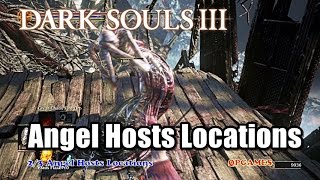 Dark Souls 3 The Ringed City Angel Hosts Locations Guide [upl. by Akenot]