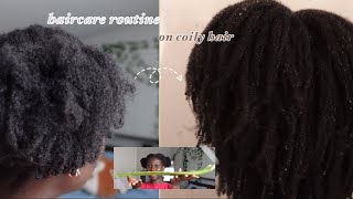 a REALISTIC washday routine on coily hair ALOE treatment 🫧 [upl. by Grier]