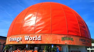 ORANGE🍊WORLD BEHIND THE PEEL  UPDATE ON THE WORLDS LARGEST ORANGE  HIGHWAY 192 KISSIMMEE FL [upl. by Brodeur267]