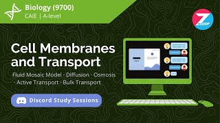 Cell Membranes and Transport  Biology AS Level  Discord Study Session [upl. by Crotty]