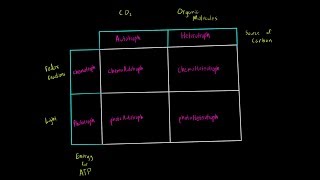 Autotrophs vs Heterotrophs and Chemotrophs vs Phototrophs Introduction Biology Metabolism MCAT [upl. by Frances]