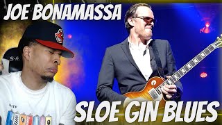 CRAZY GUITAR SOLO JOE BONAMASSA  SLOE GIN LIVE AT THE ROYAL ALBERT HALL  REACTION [upl. by Nabatse88]