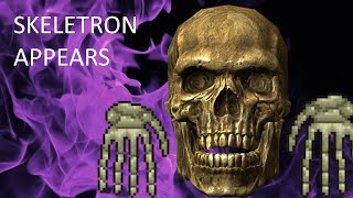 Terraria Master Infernum Flawless Skeletron [upl. by Lucrece]