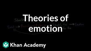 Theories of Emotion  Processing the Environment  MCAT  Khan Academy [upl. by Esinaj]