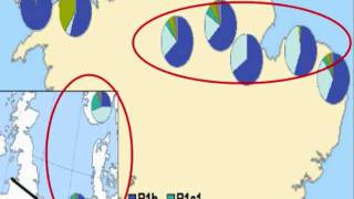 EnglishGermanic DNA explanation [upl. by Leandro850]