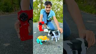 Rc Remote Control Cow 🐄 And Frog testing 😜 [upl. by Eimmac]