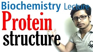 Protein structure  primary secondary tertiary and quaternary structure of protein [upl. by Mirak733]